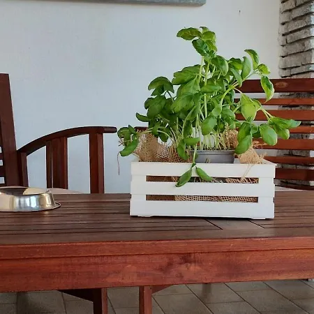 Apartmán La Casa Di Gergy Borgomanero